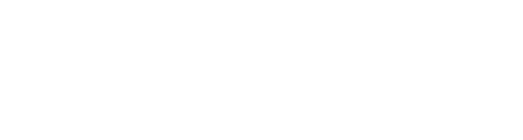 Logo-Leone-Conti