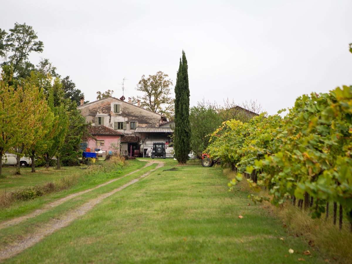 Leone-Conti_Contatti