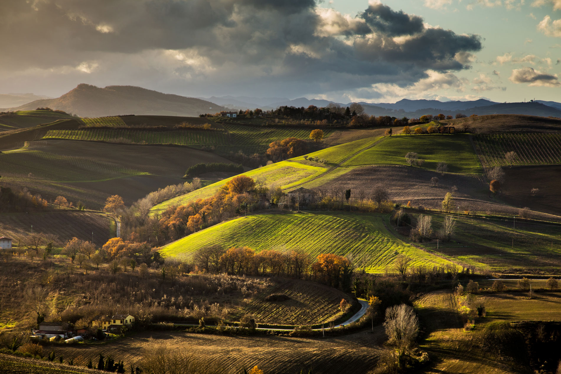 Leone-Conti_Territorio_Romagna-1