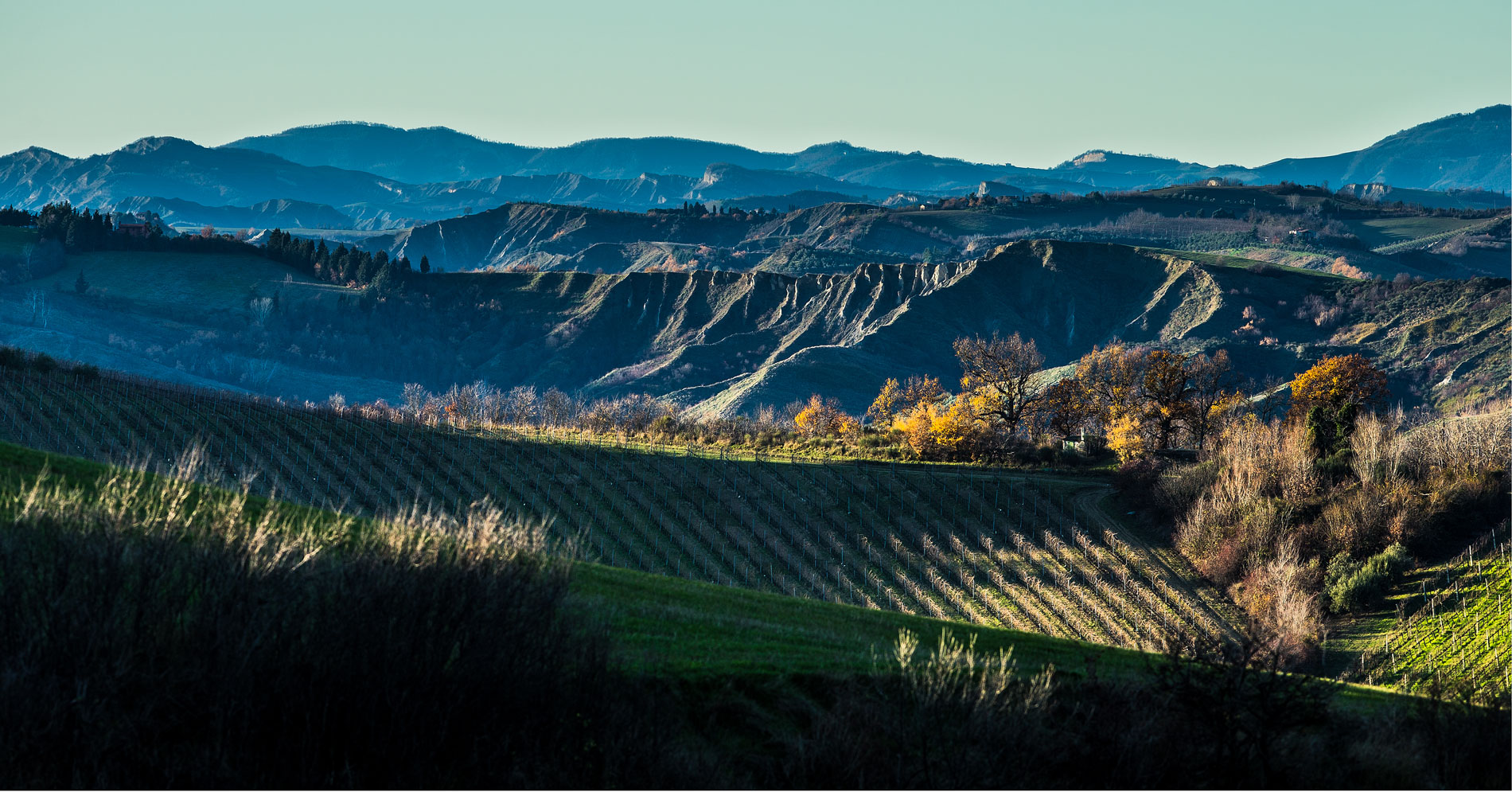 Leone-Conti_Territorio_Romagna